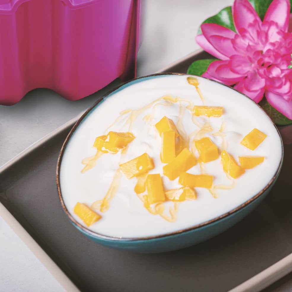 Wie fermentiere ich Naturjoghurt im Thermomix? - Wundermix GmbH