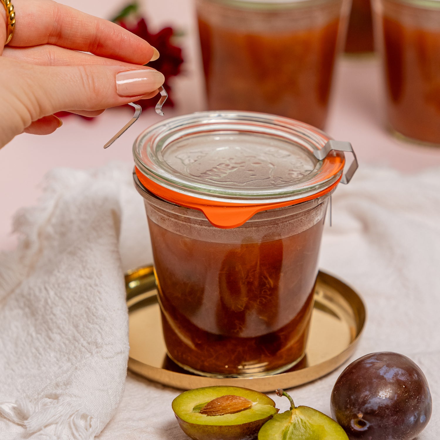 Selbstgemachtes Pflaumenkompott aus dem Thermomix - Wundermix GmbH