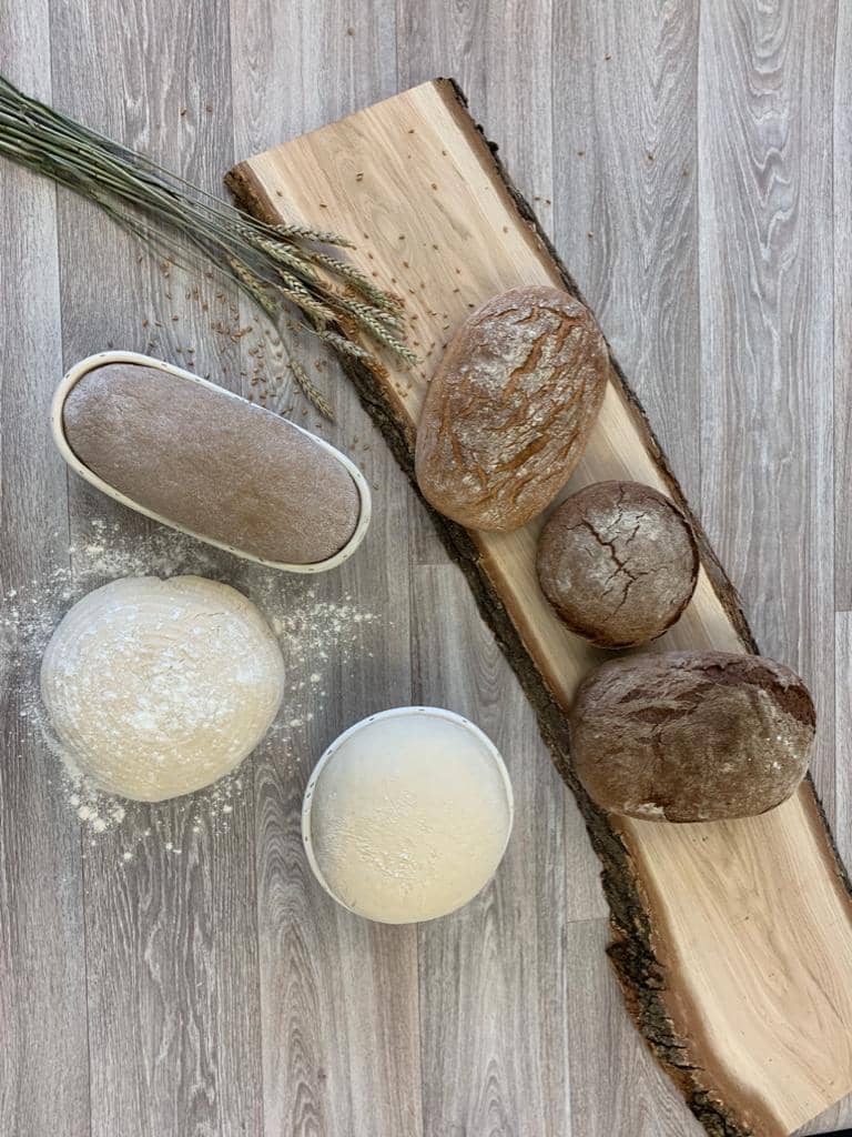 Cestello di fermentazione in vimini rotondo Ø 23 cm