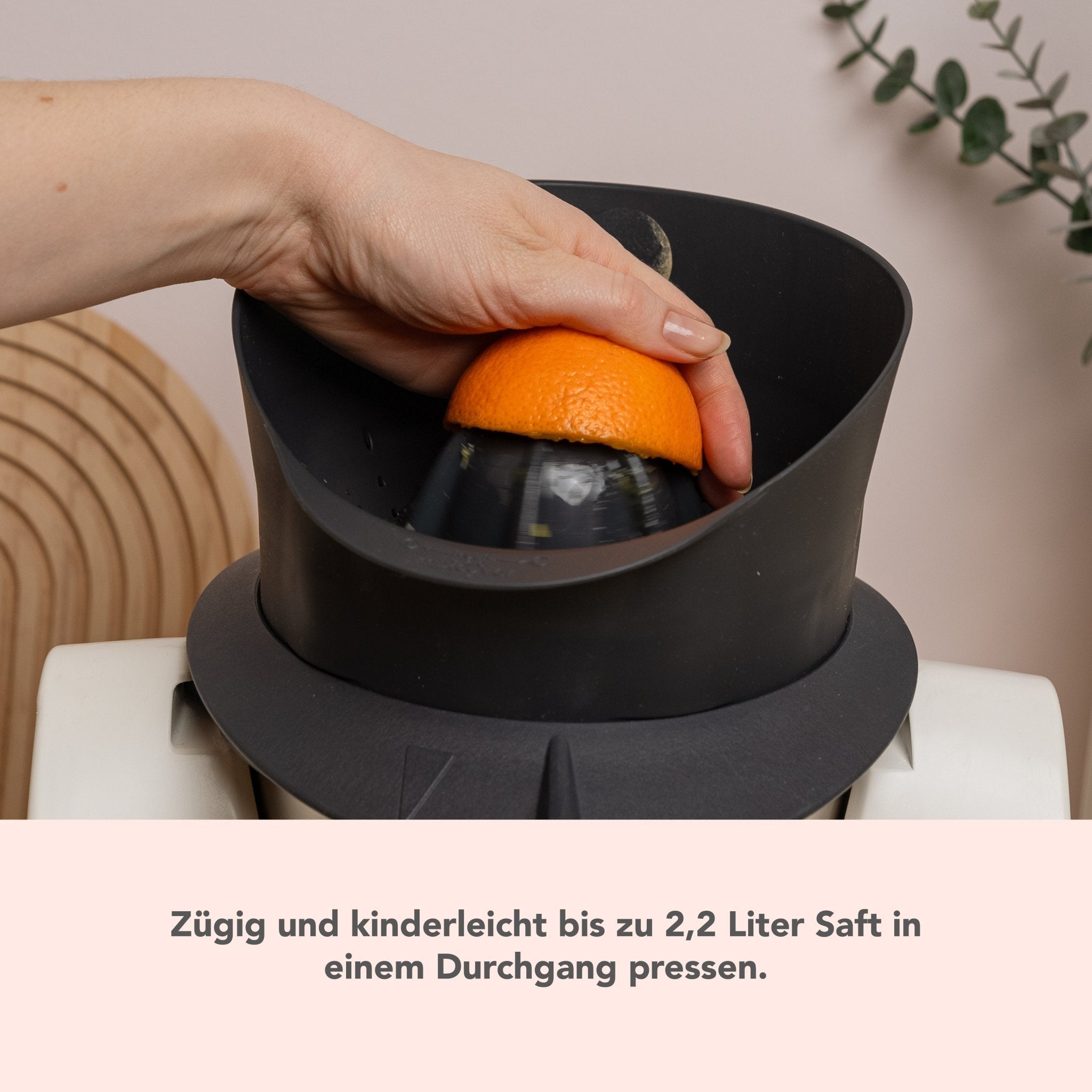 Saftpresse von mixcover | Entsafter für Thermomix TM31 - Wundermix GmbH