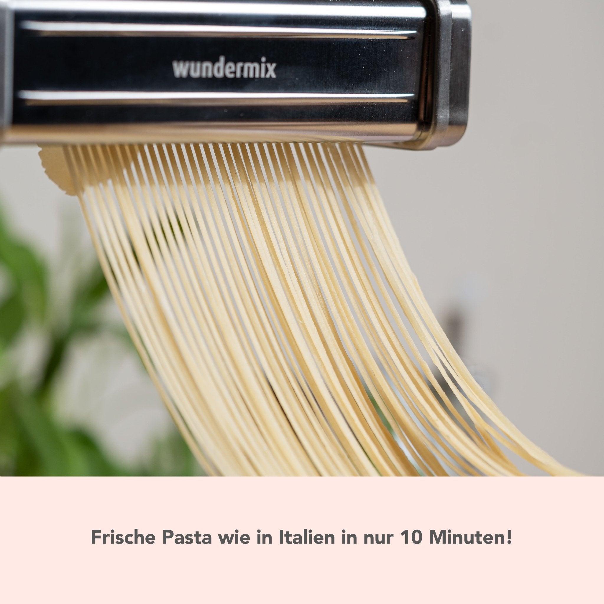 WunderCentix® | Starter - Set "Pasta" für TM6, TM5 - Wundermix GmbH