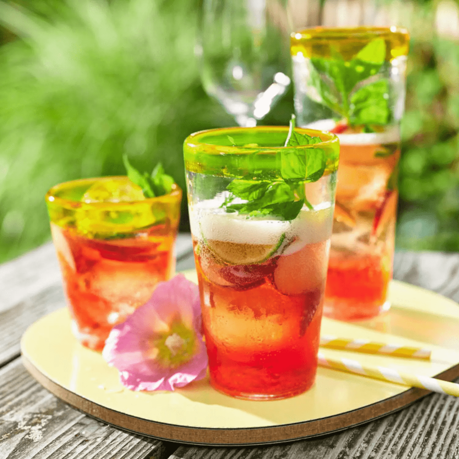 Teefilter/Teesieb für Thermomix TM31 - Wundermix GmbH