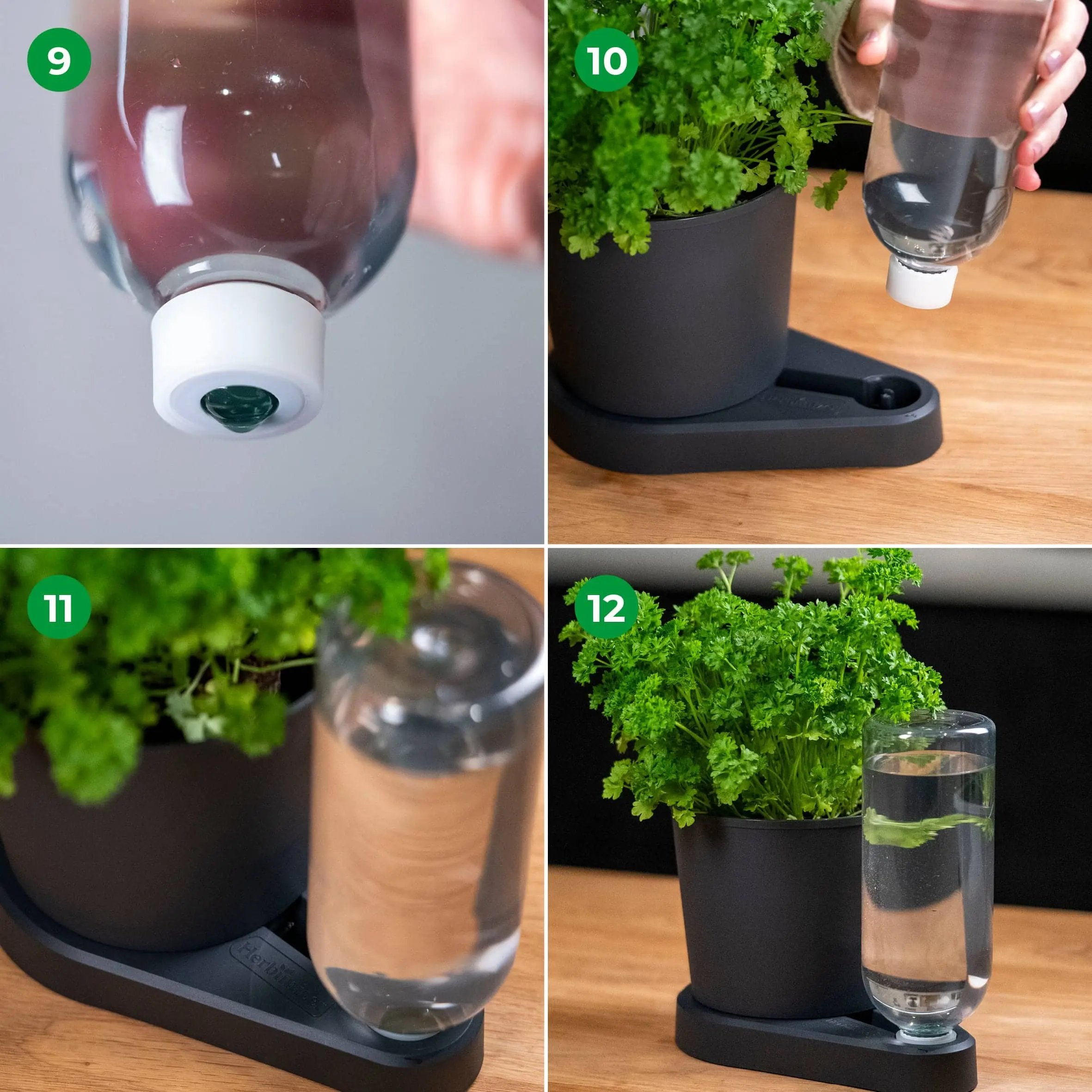 Herbimizer® | Maceta para hierbas con sistema de riego automático