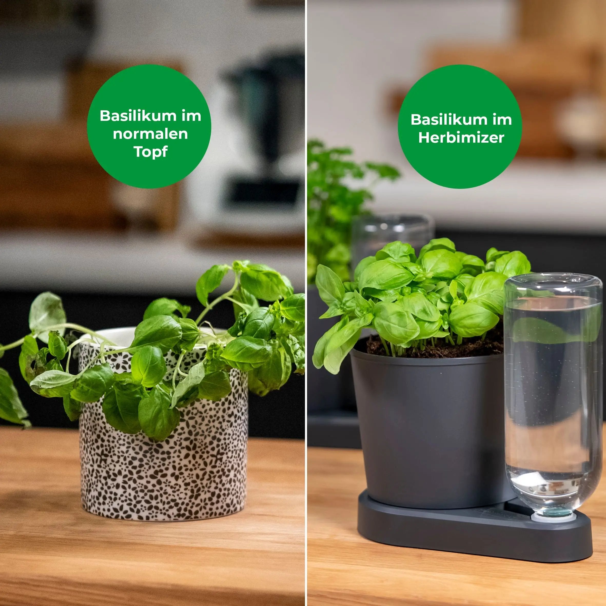 Herbimizer® | Maceta para hierbas con sistema de riego automático