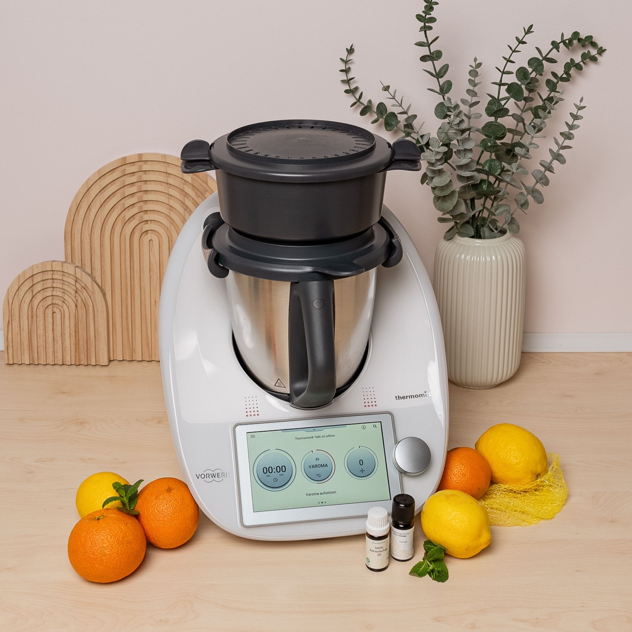 SteamCover® | Dampf - und Geruchsfilter für Thermomix TM6, TM5, TM31, TM Friend - Wundermix GmbH