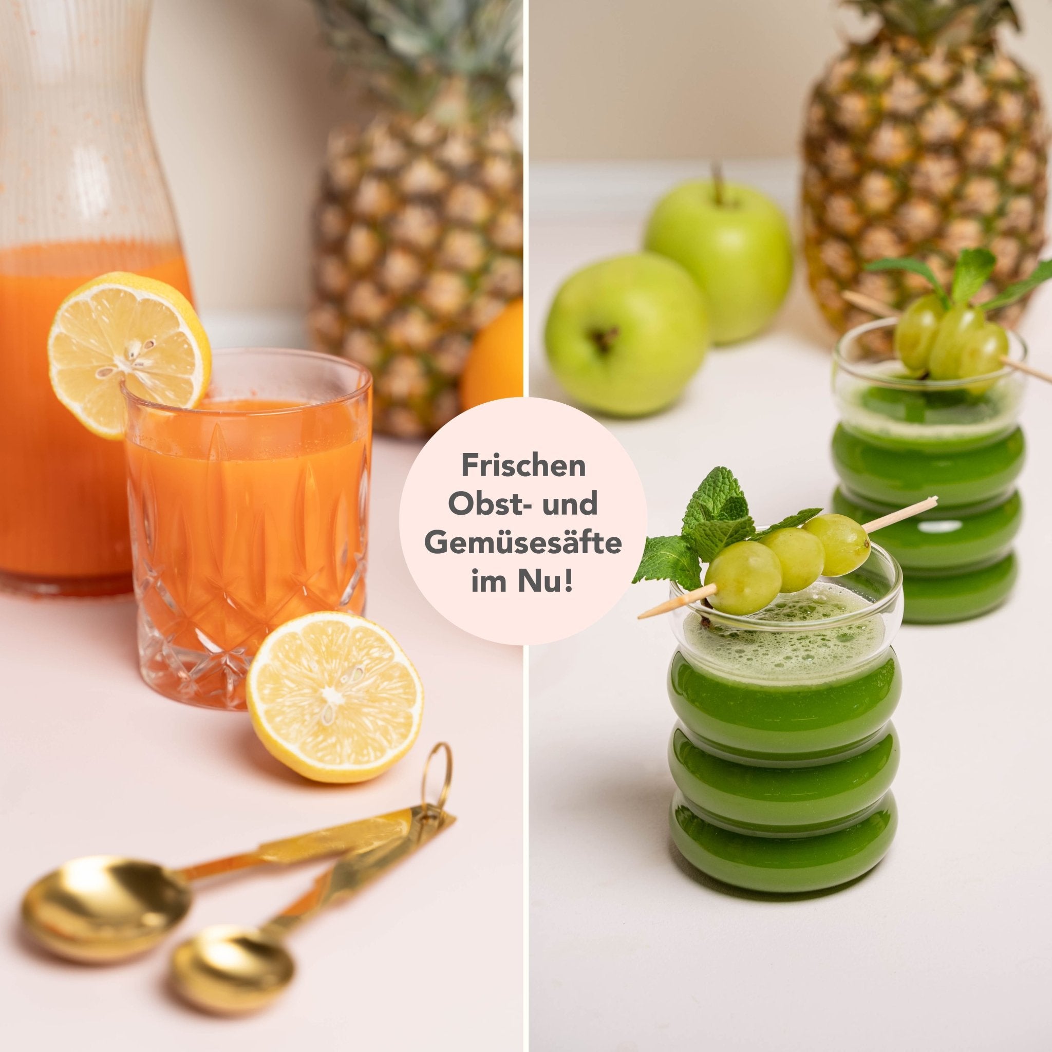 WunderCentix® | Starter - Set "Slow Juicer" für TM6, TM5 - Wundermix GmbH