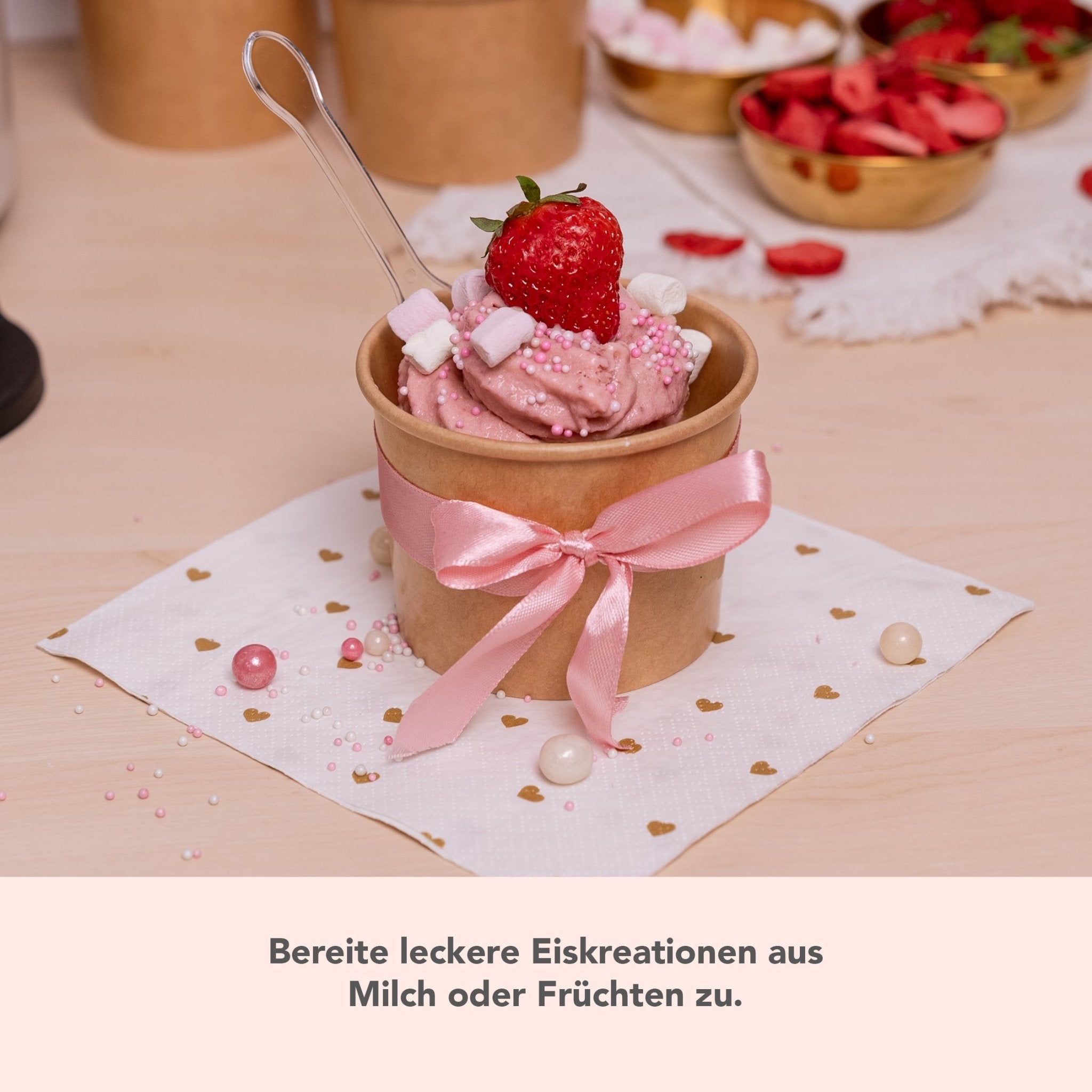 WunderCentix® Starter - Set "Softeis" für TM6, TM5 - Wundermix GmbH