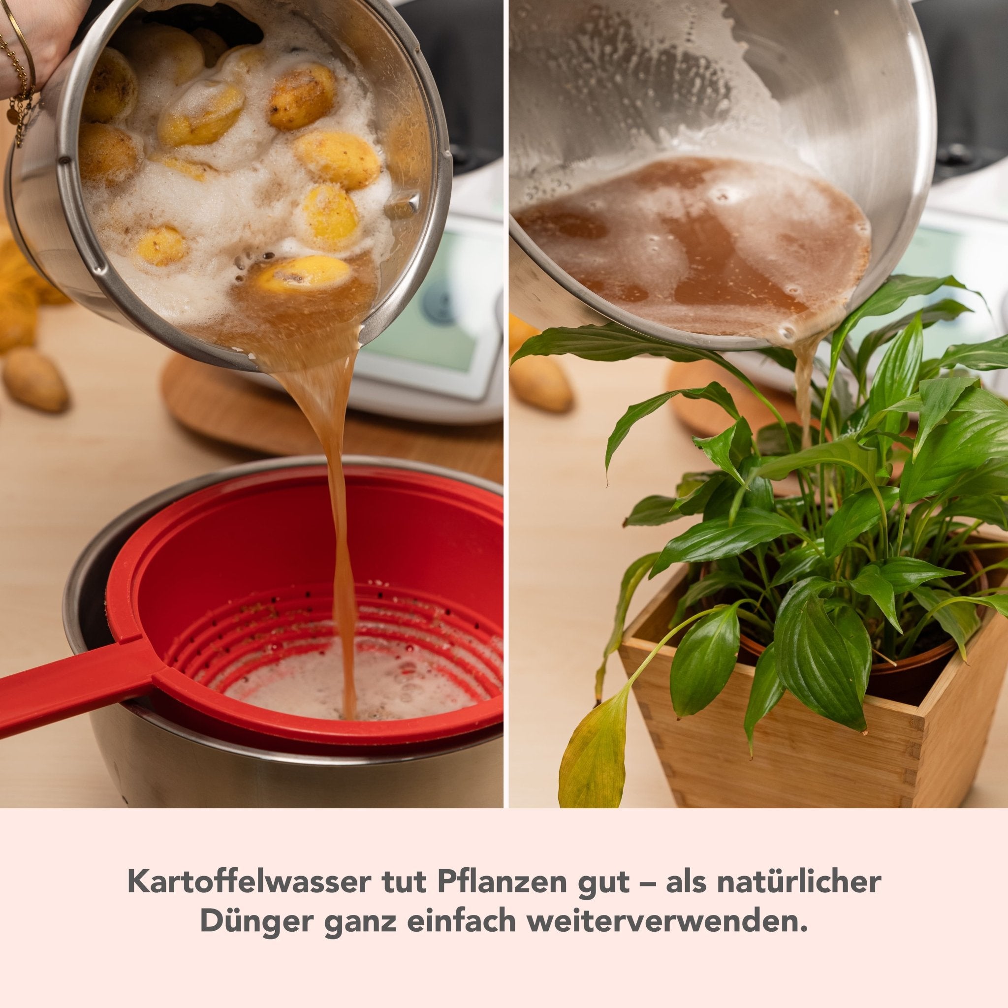 WunderPeeler® (ohne Träger) | Kunststoff - Reibscheibe zum Kartoffel schälen - Wundermix GmbH