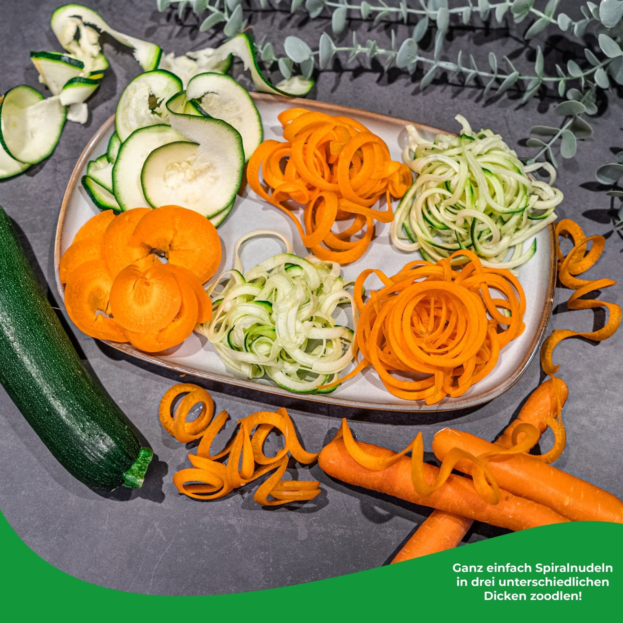 WunderSlicer® V2 & WunderZoodler® Sparset für Thermomix TM6, TM5 - Wundermix GmbH