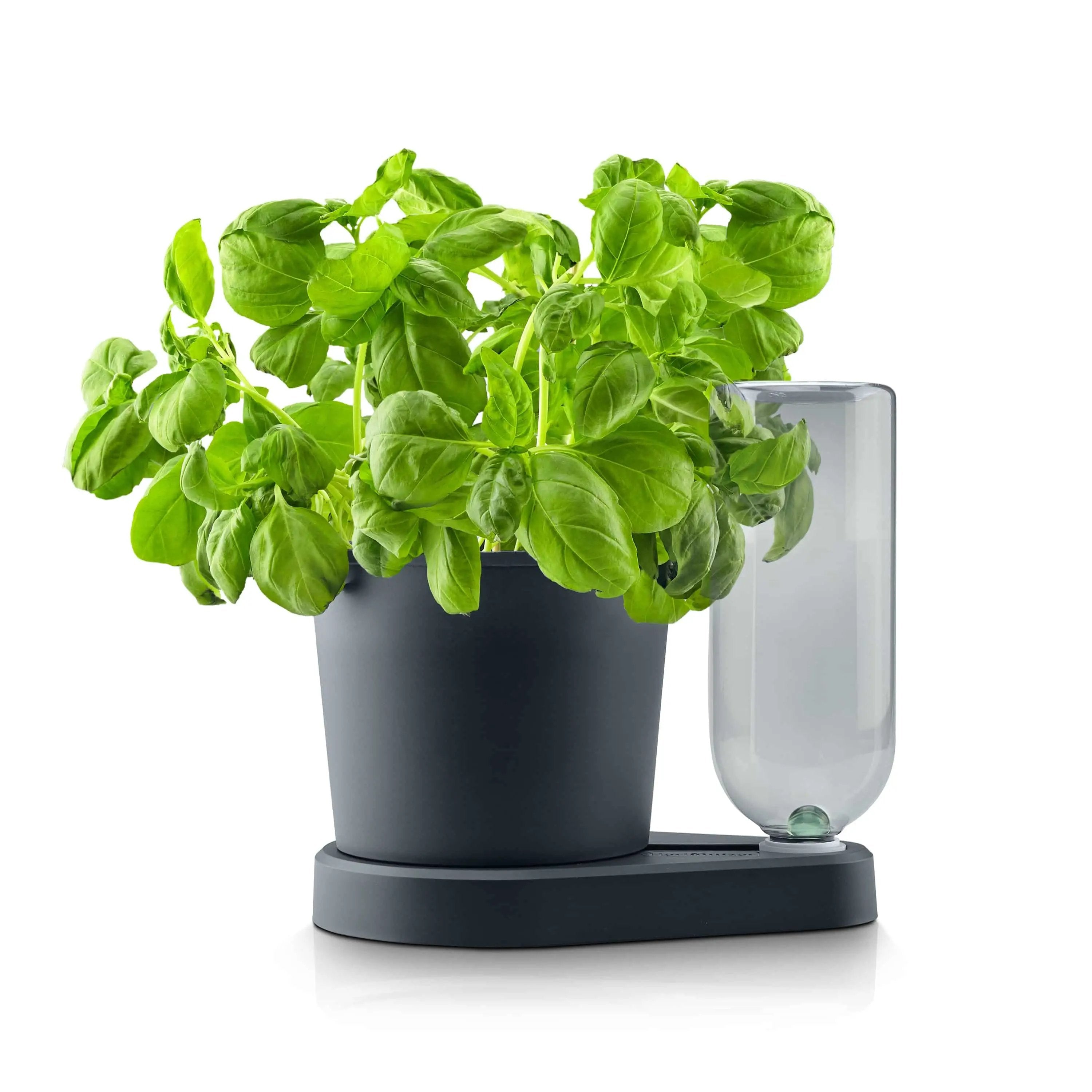 Herbimizer® | Herb pot with automatic irrigation system
