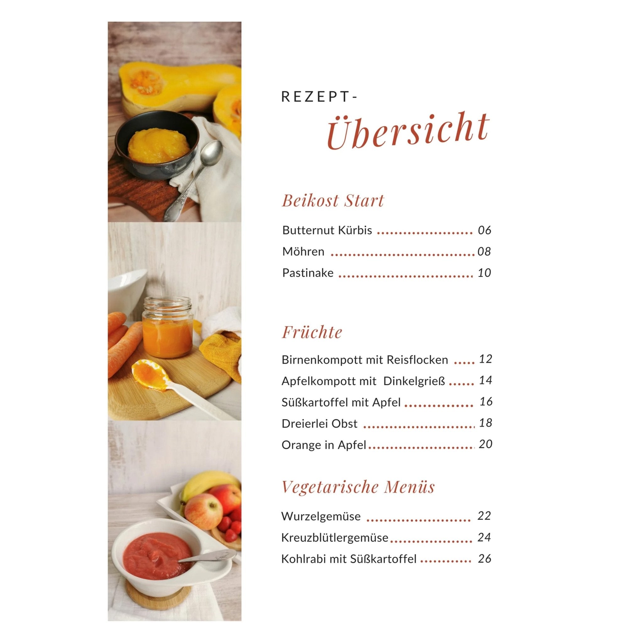 Baby Beikost | 20 Rezepte für den Monsieur Cuisine oder Thermomix | Julia Pfaffenrot - Wundermix GmbH